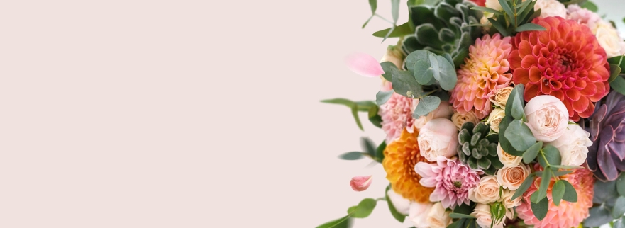 banner-img