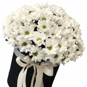  Ümraniye Çiçekçi Kutuda Kar Beyaz Papatyalar