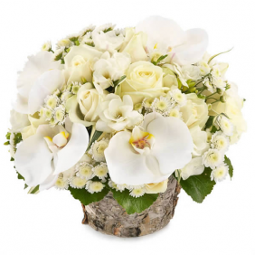 Altunizade Çiçek Siparişi Zarif Beyaz Aranjman